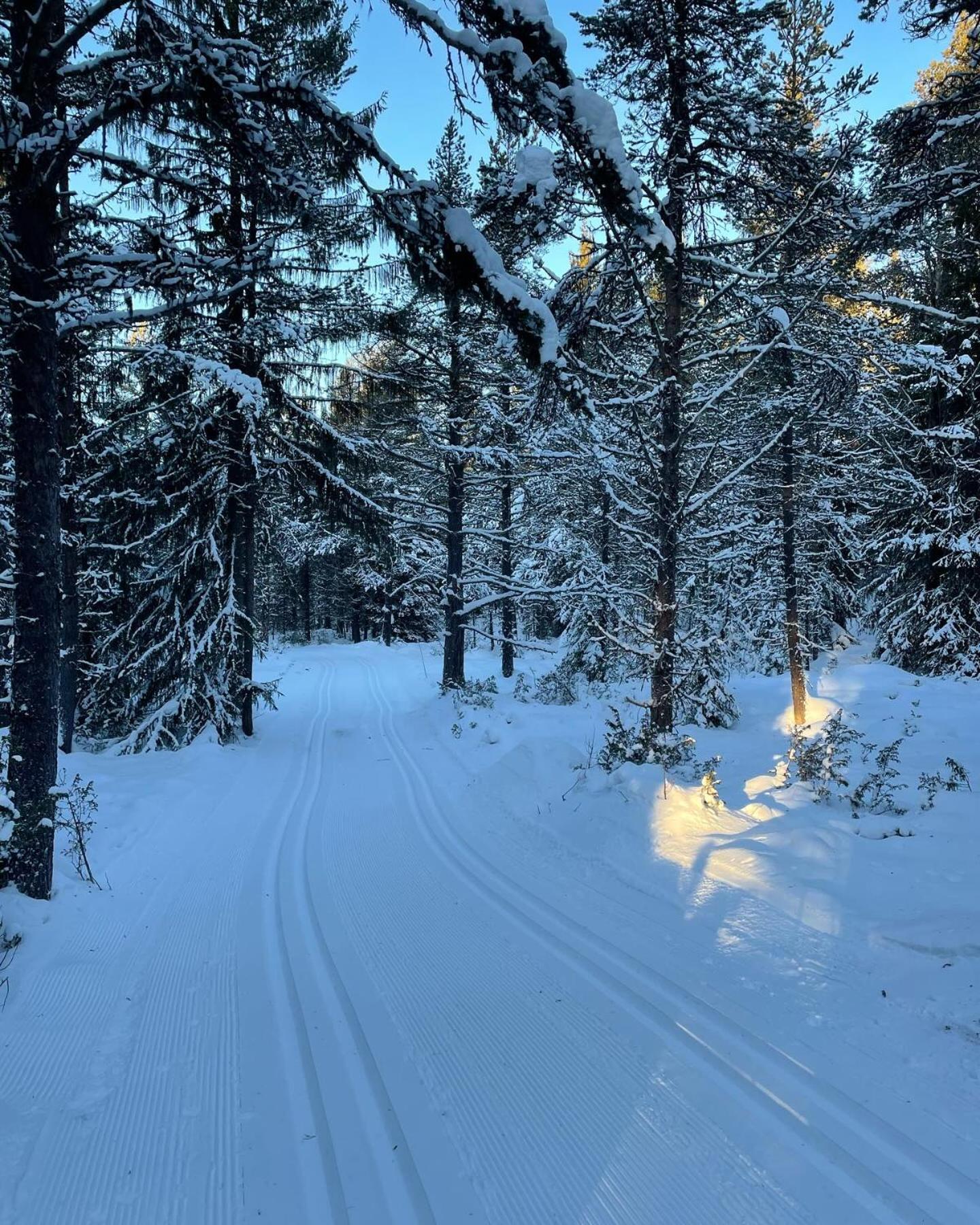 Bjorgebu Camping As Mysusaeter ภายนอก รูปภาพ