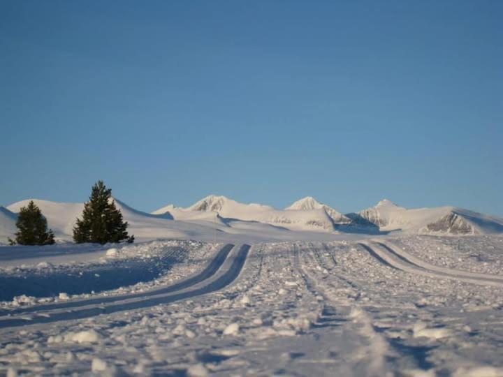 Bjorgebu Camping As Mysusaeter ภายนอก รูปภาพ